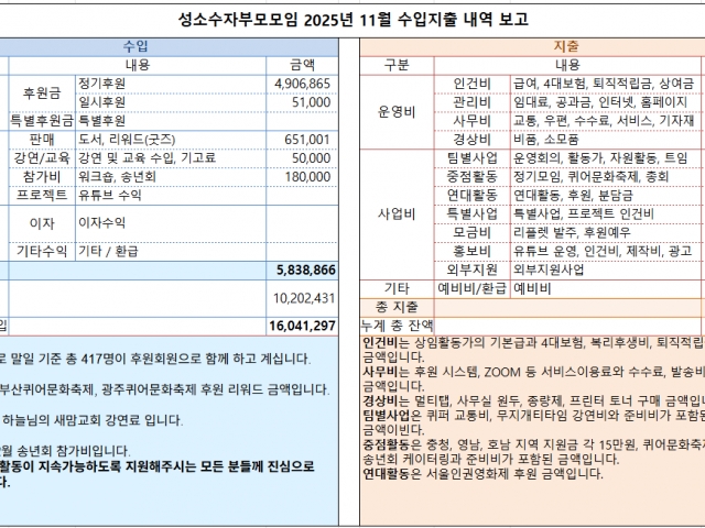 2025년 11월 수입지출내역 보고
